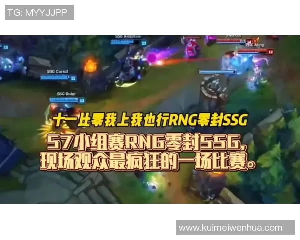 赛后分析：RNG与IG在比赛中的默契配合与战术执行探讨