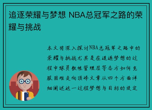 追逐荣耀与梦想 NBA总冠军之路的荣耀与挑战